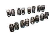 TOMEI: VALVE SPRINGS: 4B11 EVO X