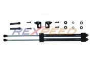 Rexspeed: Hood Dampers - Black Series / Carbon : Honda: S2000