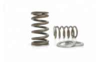 Kelford: RACING VALVE SPRING SET: TOYOTA 2JZ-GTE