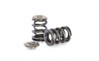 Kelford:SUZUKI SWIFT VALVE SPRING AND TI RETAINER SET