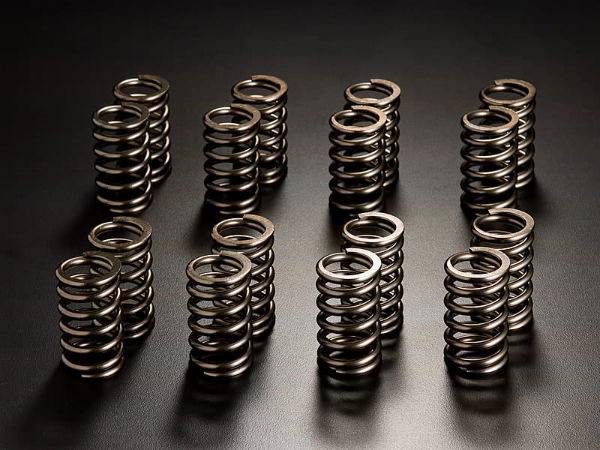 Jun: Valve Spring Kit: Evo I - IX