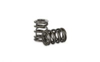 Kelford: Dual Valve Spring Set : HONDA: H22A