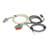 AEM: Replacement Wiring Harness for CD Carbon Digital Dashes (all CD-5/ 5F & CD-7/ 7F)