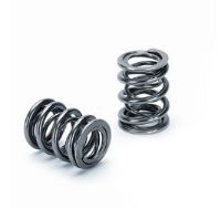 Supertech: Dual Valve Spring: Honda: H22