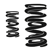 VALVE SPRINGS