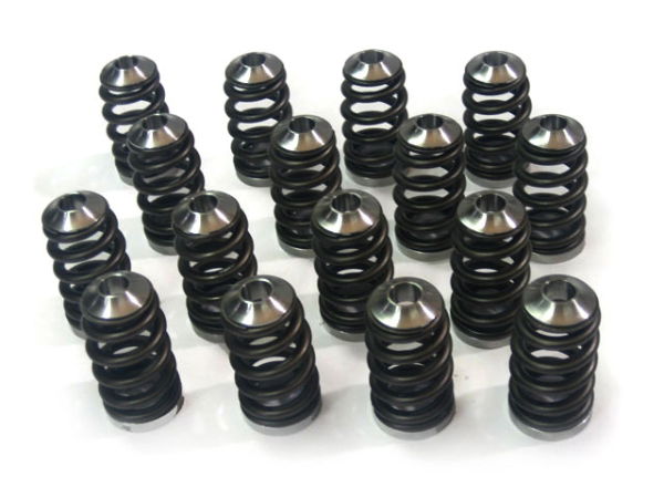 Magnus: 4G63 Valve Springs