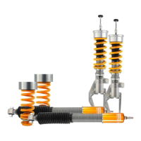 Ohlins: Road & Track Coilover Suspension Tesla Model 3/Model Y 2017-