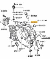 Plug M/T case seal