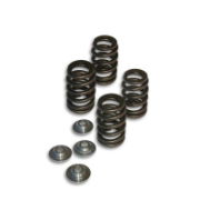 Kelford Valve Spring Set - Evo X