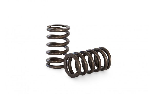 Kelford: High RPM Beehive valve spring set: MAZDA L3 2.3 