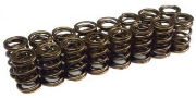 Cosworth: High RPM Single Beehive Valve Spring Kit: Evo X