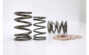 Kelford: DUAL VALVE SPRING SET: HONDA: B18/B20B