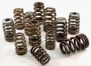 Ferrea: Beehive Valve Springs: Evo I - IX (SET)