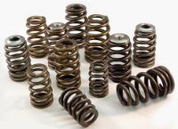 Ferrea: Beehive Valve Springs: Evo I - IX (SET)