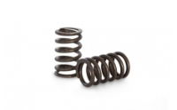 Kelford: RACE SPRINGS: TOYOTA 3S-GE Gen 2 & 3