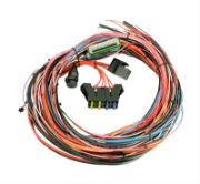 AEM: EMS-4 Programmable Engine Management System Wire Harness