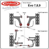 Polybush: Rear Trailing Arm to Body Bush: Evo 4-9 (Pair)