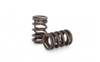 Kelford: HIGH PERFORMANCE DUAL SPRING SET NISSAN:  GTi-R