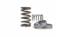 Kelford:  VALVE SPRING SET: NISSAN: VK56