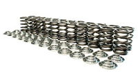 Manley: Nissan VQ35 Valve Springs