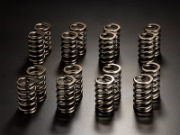 Jun: Valve Spring Kit: Evo X