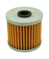 AEM: High Volume Fuel Filter Element (Replacement)