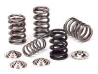 SUPERTECH: DUAL VALVE SPRING KIT: EVO 10