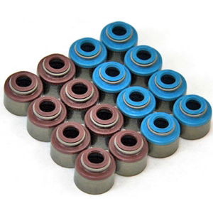 Ferrea: Intake Valve Stem Seal Evo 1-9 (SINGLE)
