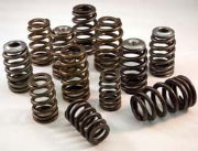 Ferrea: Beehive Valve Springs: Evo I - IX (SINGLE)