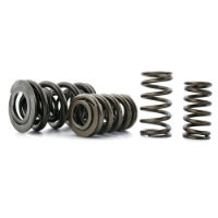 Ferrea: Dual Valve Springs: Evo I - IX (SET)