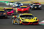 ferrari-challenge-cat