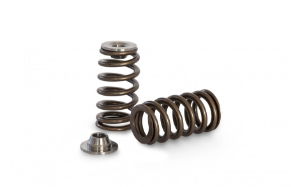 Kelford:2JZ-GTE BEEHIVE SPRING & TI RETAINER SET